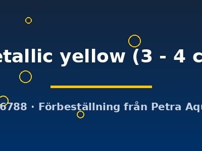 metallic yellow (3 - 4 cm)
