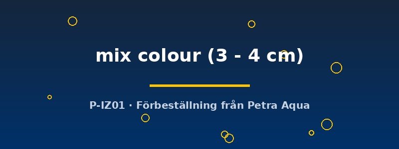 petra-ph2-178844 petra-ph2-178844