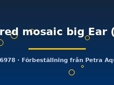 patinum red mosaic big Ear (3 - 4 cm)