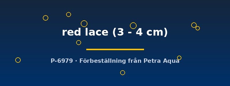petra-ph2-178848 petra-ph2-178848