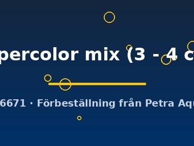 supercolor mix (3 - 4 cm)