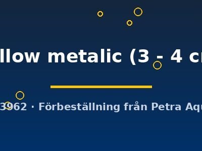 yellow metalic (3 - 4 cm)