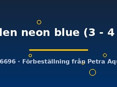golden neon blue (3 - 4 cm)