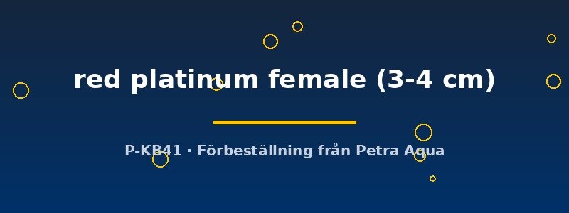 petra-ph2-178881 petra-ph2-178881