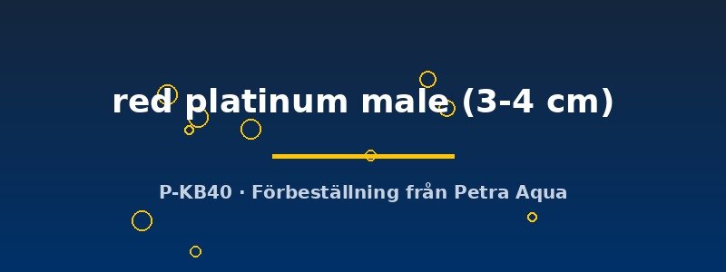 petra-ph2-178882 petra-ph2-178882
