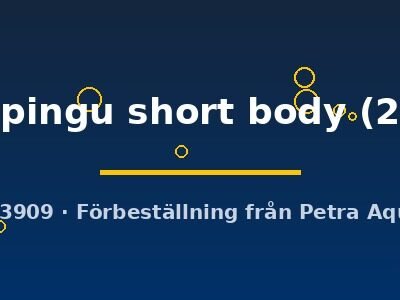 Poecilia reticulata (in pairs) metal pingu short body 2–3 cm