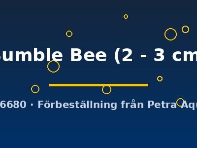 Bumble Bee (2 - 3 cm)