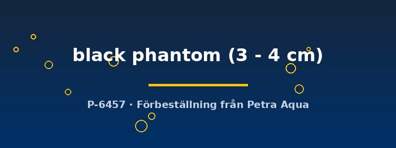 petra-ph2-178898 petra-ph2-178898