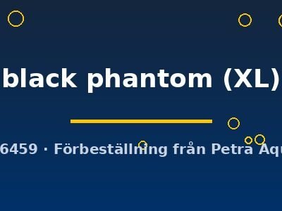 Poecilia reticulata female black phantom XL