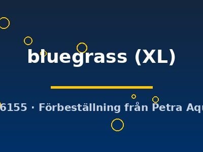 Poecilia reticulata female bluegrass XL