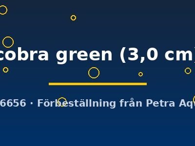cobra green (3,0 cm)