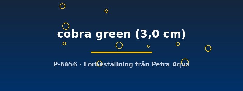 petra-ph2-178918 petra-ph2-178918