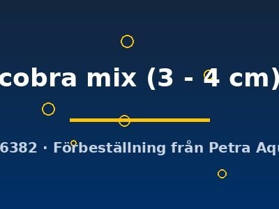 cobra mix (3 - 4 cm)