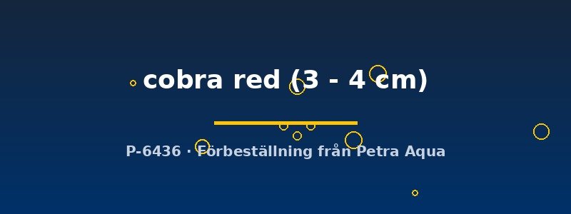 petra-ph2-178920 petra-ph2-178920