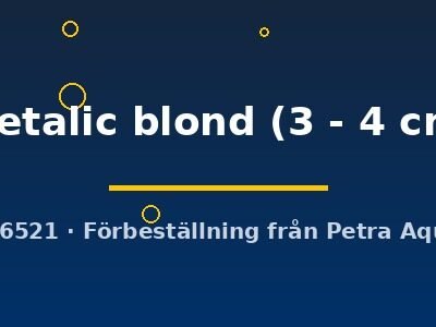 Poecilia reticulata female metalic blond 3–4 cm