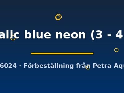 metalic blue neon (3 - 4 cm)