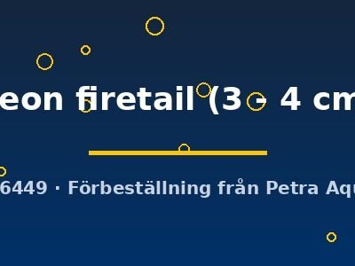 neon firetail (3 - 4 cm)