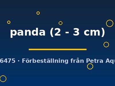 panda (2 - 3 cm)