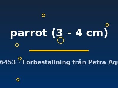 parrot (3 - 4 cm)