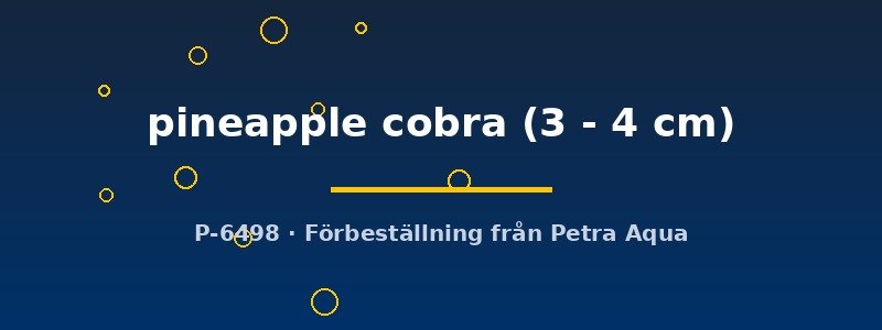 petra-ph2-178979 petra-ph2-178979