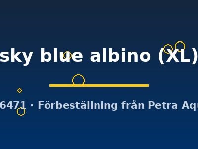 sky blue albino (XL)