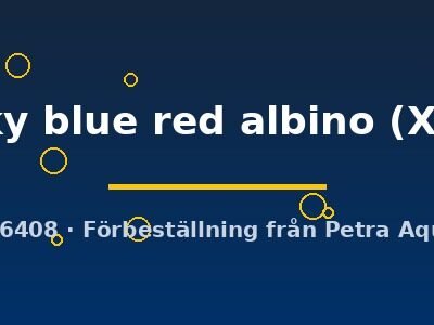 sky blue red albino (XL)