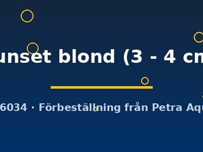 sunset blond (3 - 4 cm)