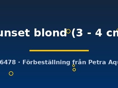 sunset blond (3 - 4 cm)