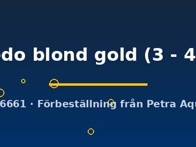 tuxedo blond gold (3 - 4 cm)