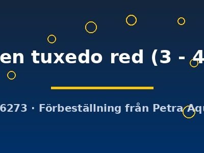 golden tuxedo red (3 - 4 cm)