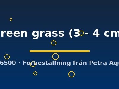 green grass (3 - 4 cm)