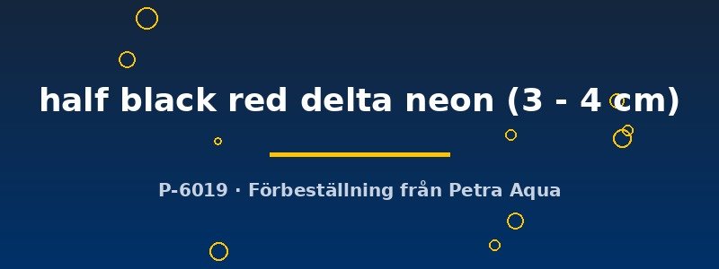 petra-ph2-179117 petra-ph2-179117