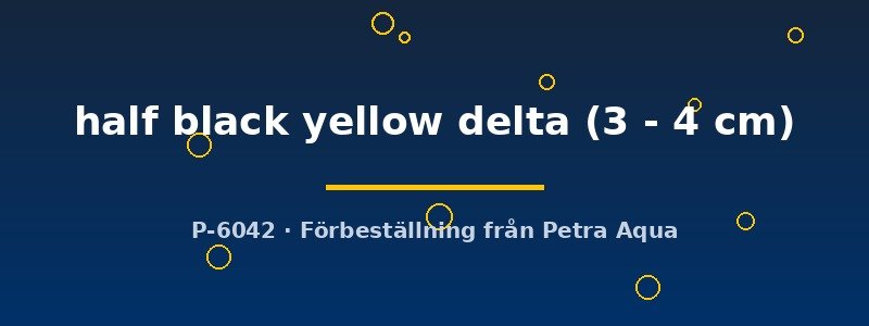 petra-ph2-179118 petra-ph2-179118