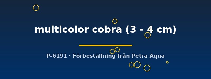 petra-ph2-179147 petra-ph2-179147