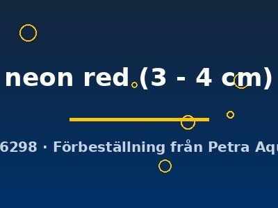 neon red (3 - 4 cm)
