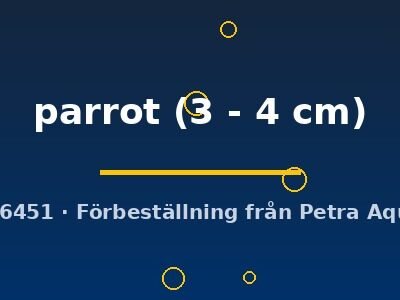 parrot (3 - 4 cm)