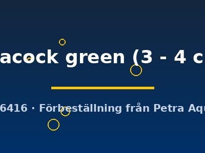 peacock green (3 - 4 cm)