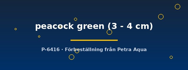 petra-ph2-179155 petra-ph2-179155