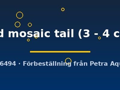 red mosaic tail (3 - 4 cm)