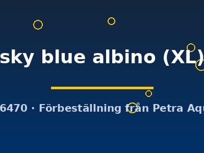 sky blue albino (XL)