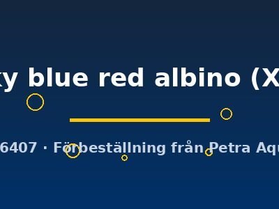 sky blue red albino (XL)