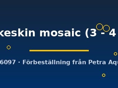 snakeskin mosaic (3 - 4 cm)