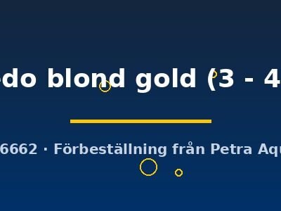 tuxedo blond gold (3 - 4 cm)