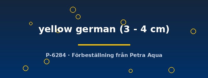 petra-ph2-179230 petra-ph2-179230