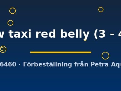 yelow taxi red belly (3 - 4 cm)