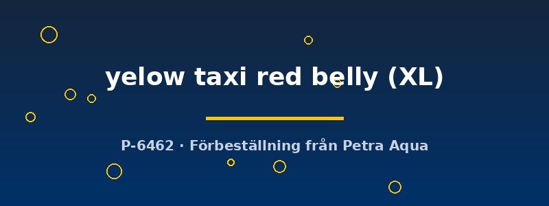 petra-ph2-179236 petra-ph2-179236