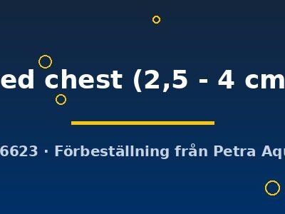 red chest (2,5 - 4 cm)