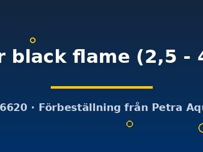silver black flame (2,5 - 4 cm)