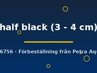 half black (3 - 4 cm)