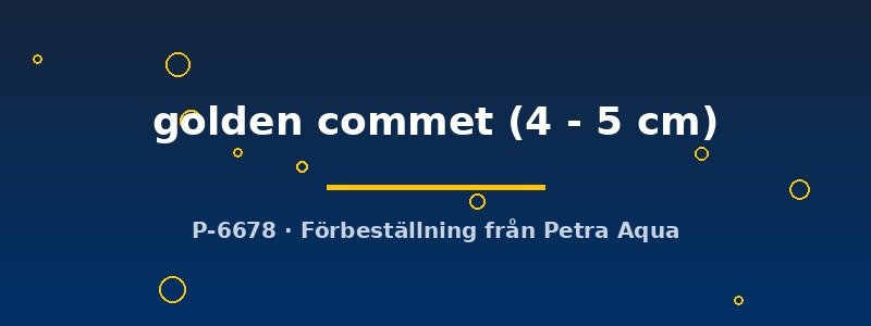 petra-ph2-179266 petra-ph2-179266